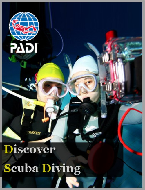 [DSD] 체험다이빙- 수영장