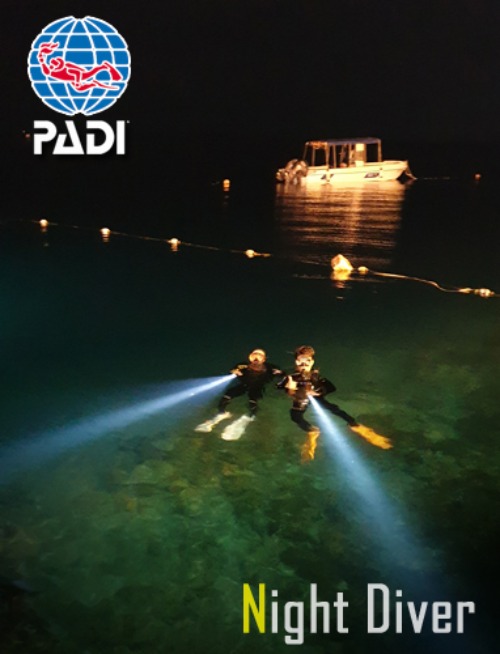 [Night diving Specialty] 나이트 다이빙