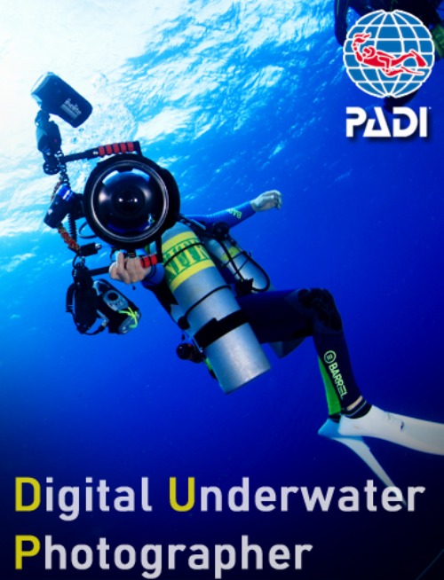 [Digital underwater photo Specialty] 수중사진 스페셜티