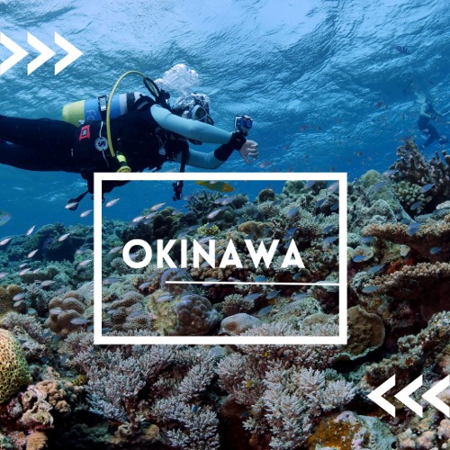 [Okinawa] 2023.11.16-20 (예약금)