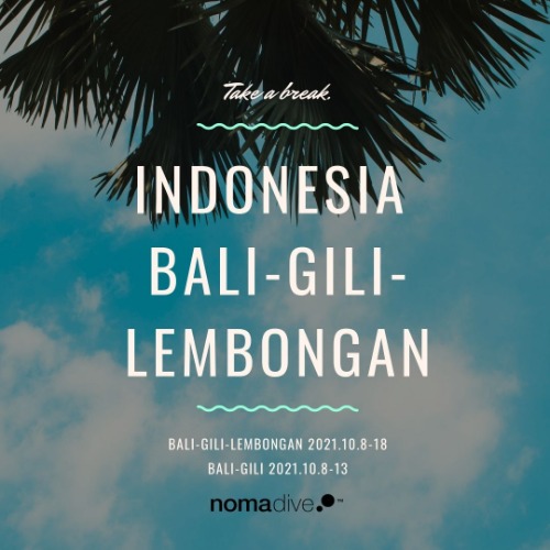 [Bali-Gili-Nusa Penida] 2021.10.1~10 (예약금)