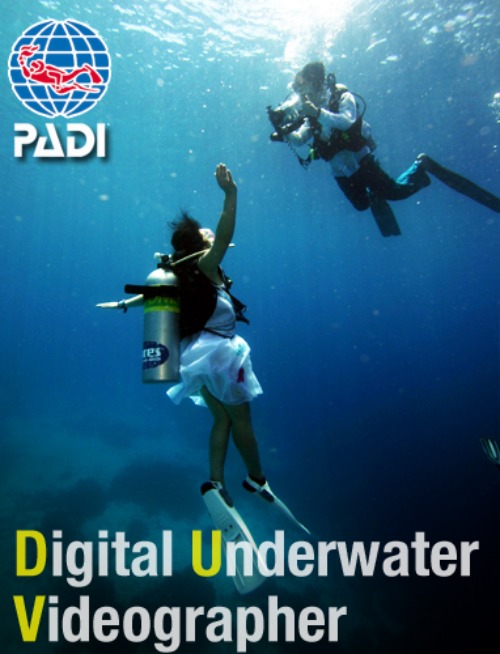 [Digital underwater video Specialty] 수중비디오그래퍼 스페셜티