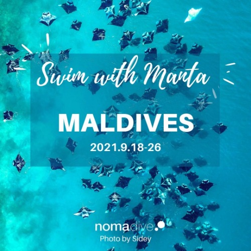 [Maldives] 2022.1.29-2.7(예약금)